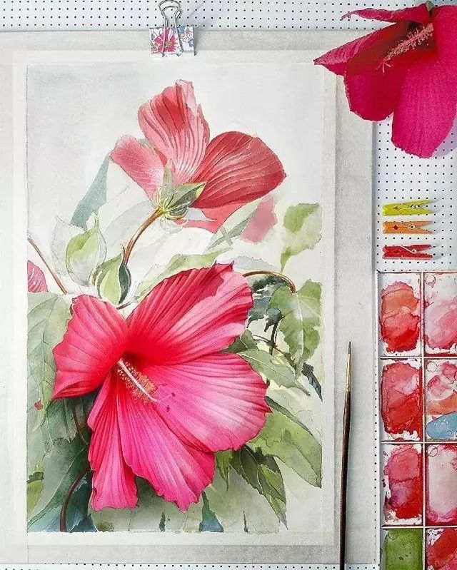 超逼真的水彩手繪插畫(huà)，小清新植物插畫(huà)圖片