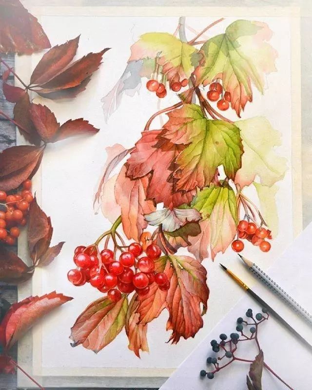 超逼真的水彩手繪插畫(huà)，小清新植物插畫(huà)圖片