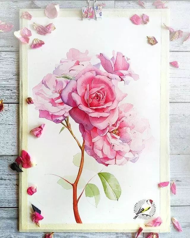 超逼真的水彩手繪插畫，小清新植物插畫圖片