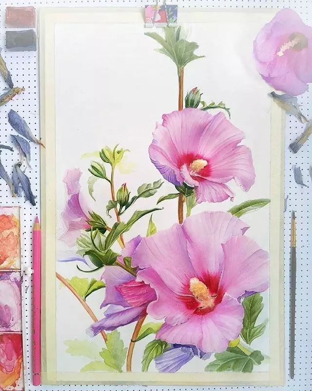 超逼真的水彩手繪插畫，小清新植物插畫圖片