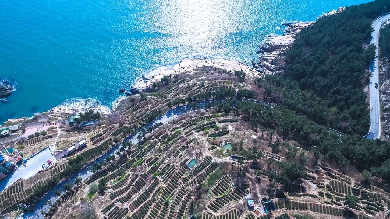 青島·瑞宿海棲，等你來就讓瑞宿帶你環(huán)游青島