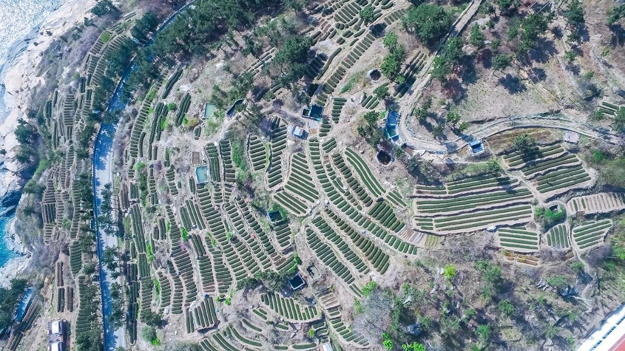 青島·瑞宿海棲，等你來就讓瑞宿帶你環(huán)游青島