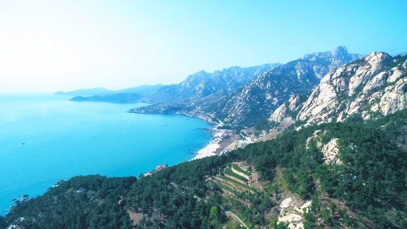 青島·瑞宿海棲，等你來就讓瑞宿帶你環(huán)游青島