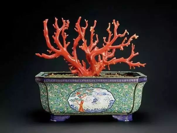 驚艷世界的故宮清代盆景，美哉!