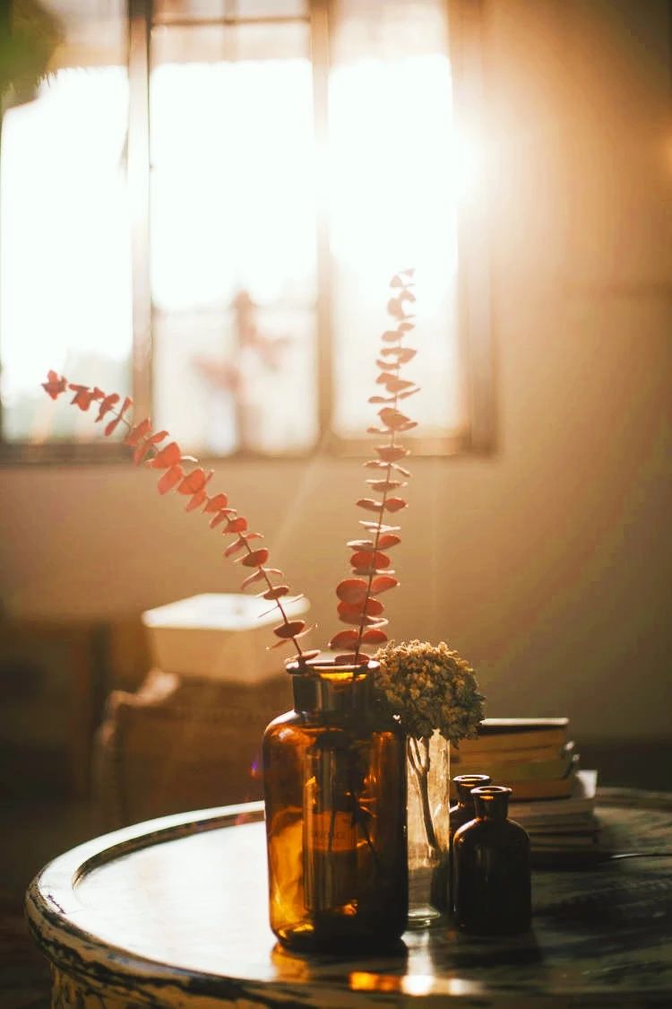 廈門·花青宿，一場風(fēng)格迥異遠(yuǎn)古部落的夢