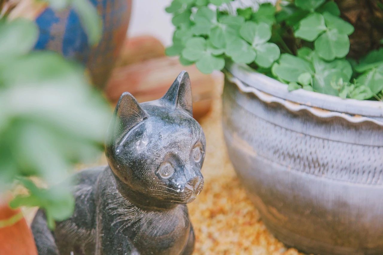 廈門·花青宿，一場風(fēng)格迥異遠(yuǎn)古部落的夢