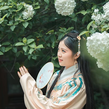 繡球花帶團(tuán)扇女生頭像，唯美古風(fēng)真人頭像