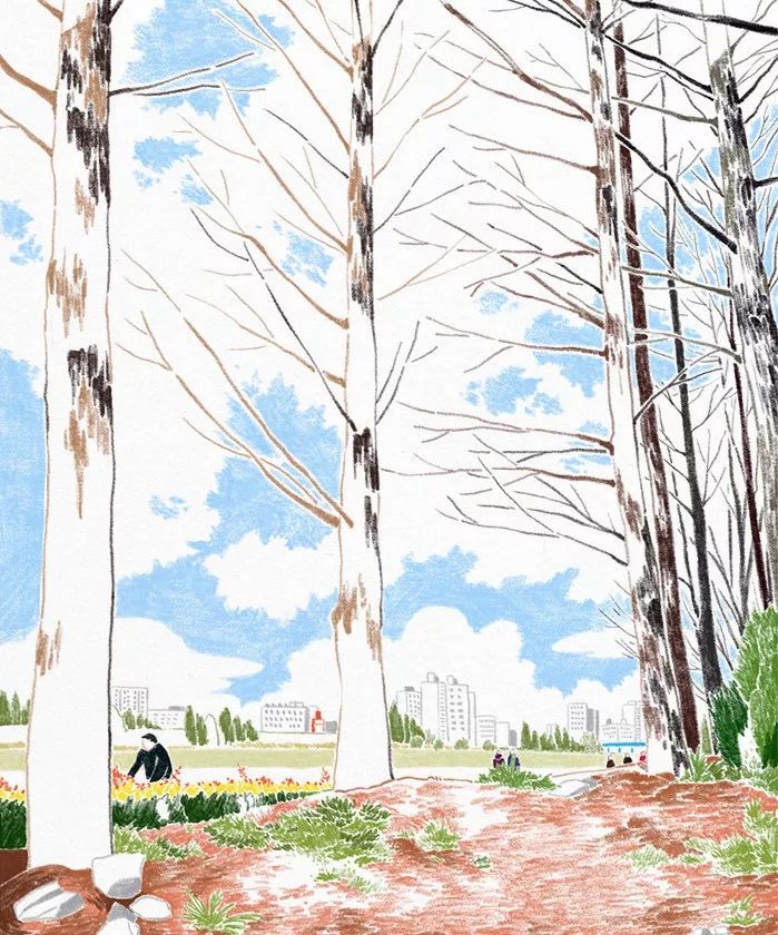 一組小清新彩鉛插畫，唯美的色彩世界!