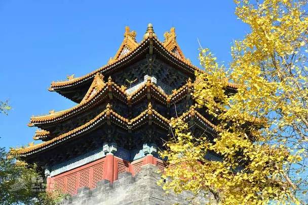 最美風(fēng)景故宮最新艷照，美到爆！