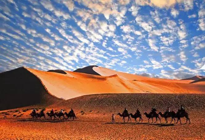 《天邊的駱駝》，震撼的沙漠風景之美!