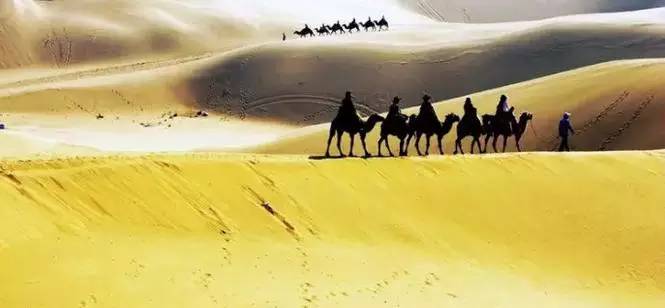 《天邊的駱駝》，震撼的沙漠風景之美!