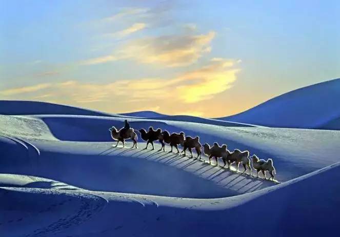 《天邊的駱駝》，震撼的沙漠風景之美!