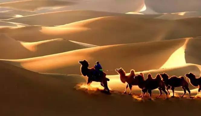 《天邊的駱駝》，震撼的沙漠風景之美!