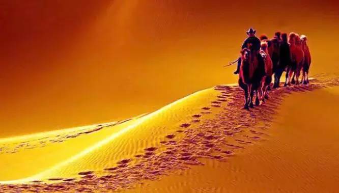 《天邊的駱駝》，震撼的沙漠風景之美!