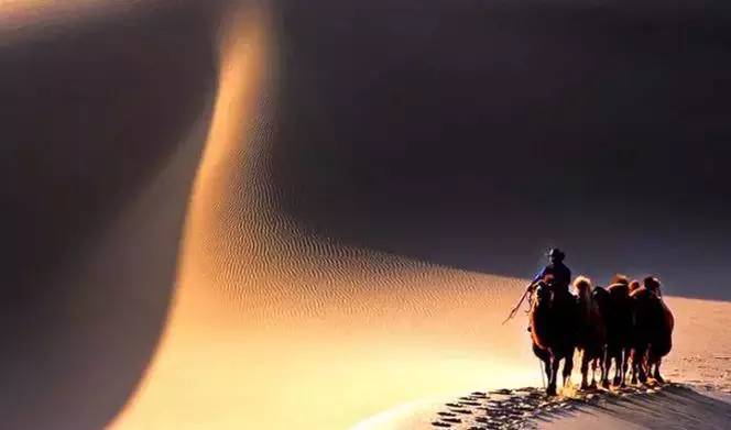 《天邊的駱駝》，震撼的沙漠風景之美!