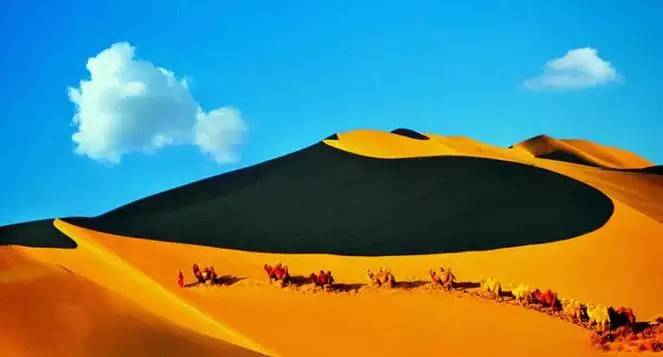 《天邊的駱駝》，震撼的沙漠風(fēng)景之美!