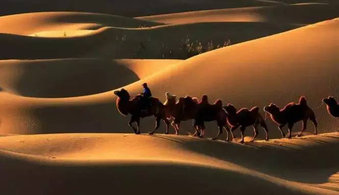 《天邊的駱駝》，震撼的沙漠風(fēng)景之美!