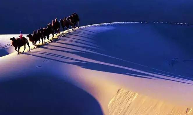 《天邊的駱駝》，震撼的沙漠風(fēng)景之美!