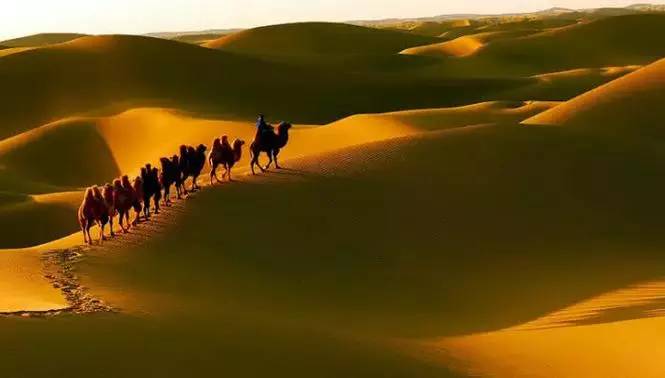 《天邊的駱駝》，震撼的沙漠風(fēng)景之美!