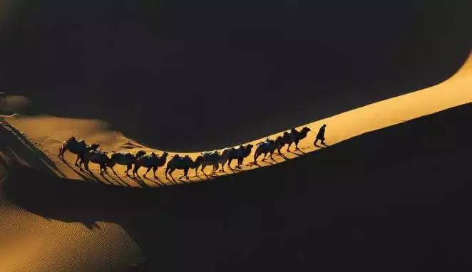 《天邊的駱駝》，震撼的沙漠風(fēng)景之美!