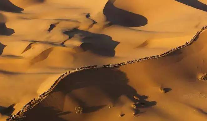 《天邊的駱駝》，震撼的沙漠風(fēng)景之美!