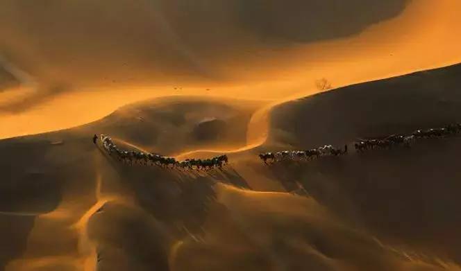 《天邊的駱駝》，震撼的沙漠風(fēng)景之美!
