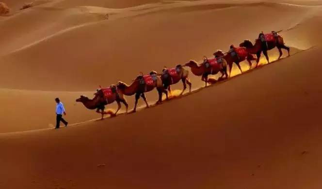 《天邊的駱駝》，震撼的沙漠風景之美!