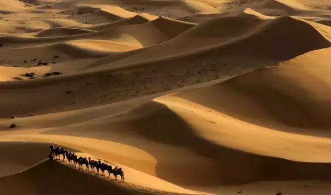 《天邊的駱駝》，震撼的沙漠風景之美!