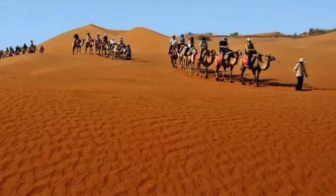 《天邊的駱駝》，震撼的沙漠風景之美!