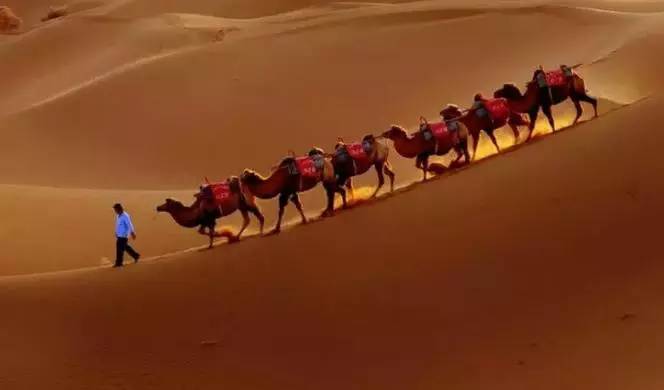 《天邊的駱駝》，震撼的沙漠風景之美!