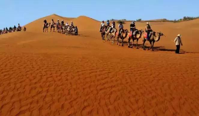 《天邊的駱駝》，震撼的沙漠風(fēng)景之美!