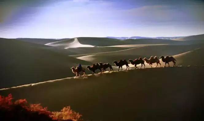 《天邊的駱駝》，震撼的沙漠風(fēng)景之美!