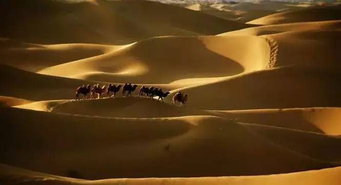《天邊的駱駝》，震撼的沙漠風(fēng)景之美!