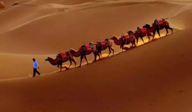 《天邊的駱駝》，震撼的沙漠風(fēng)景之美!