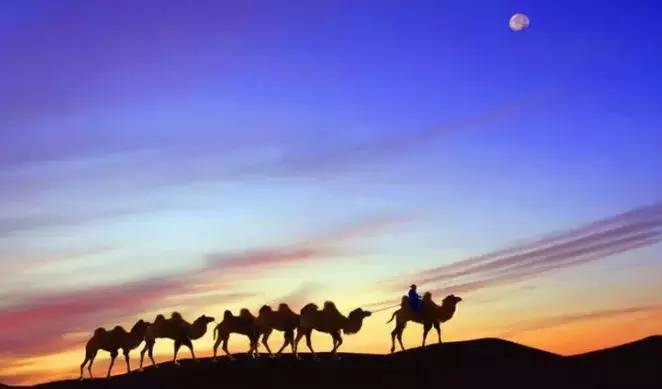 《天邊的駱駝》，震撼的沙漠風景之美!