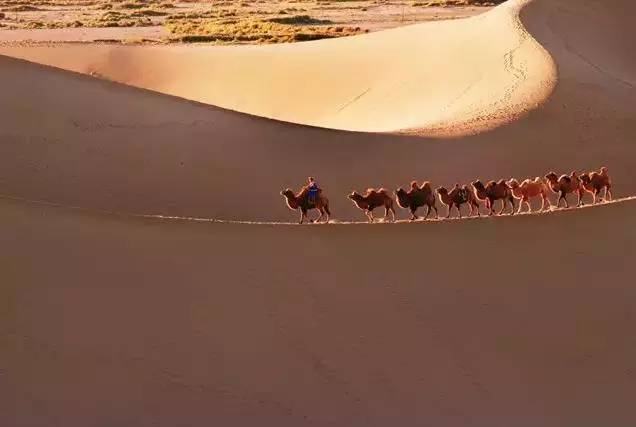 《天邊的駱駝》，震撼的沙漠風景之美!