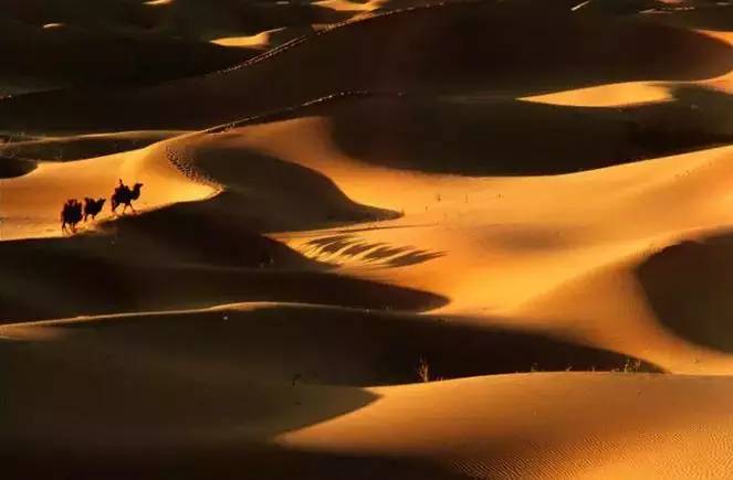 《天邊的駱駝》，震撼的沙漠風景之美!