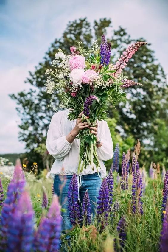 最美風(fēng)景《魯冰花》，送給母親的花！