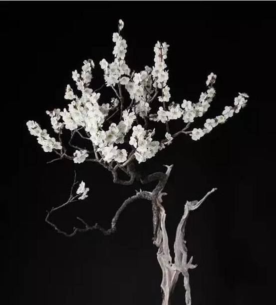 頂級盆景藝術，一種讓世人驚嘆的美！