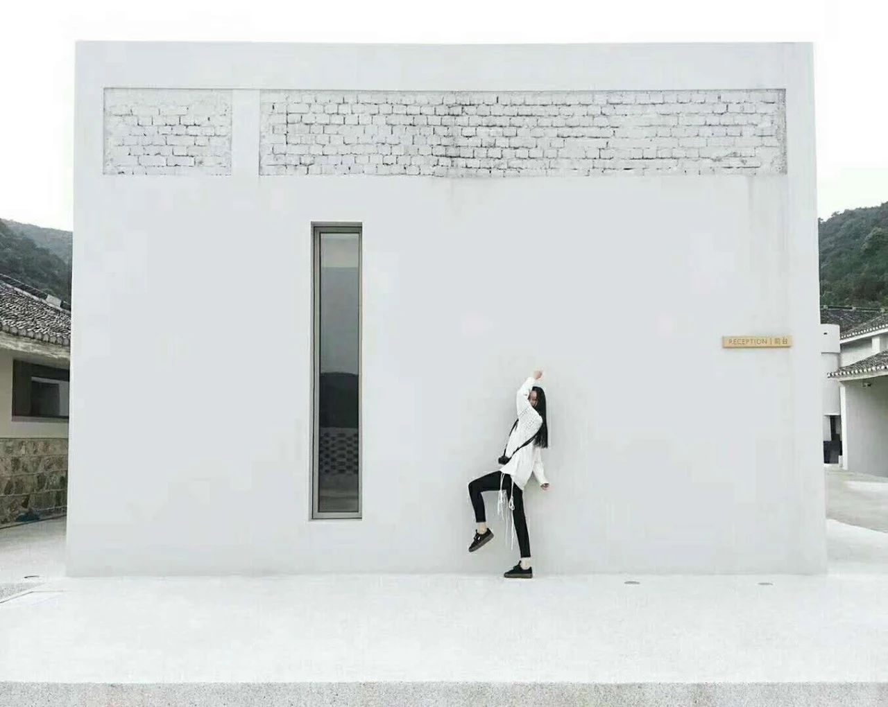 九熹·大樂之野，流水的大樂之野鐵打的小白墻