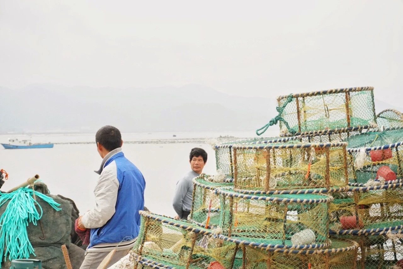 九熹·大樂之野，流水的大樂之野鐵打的小白墻