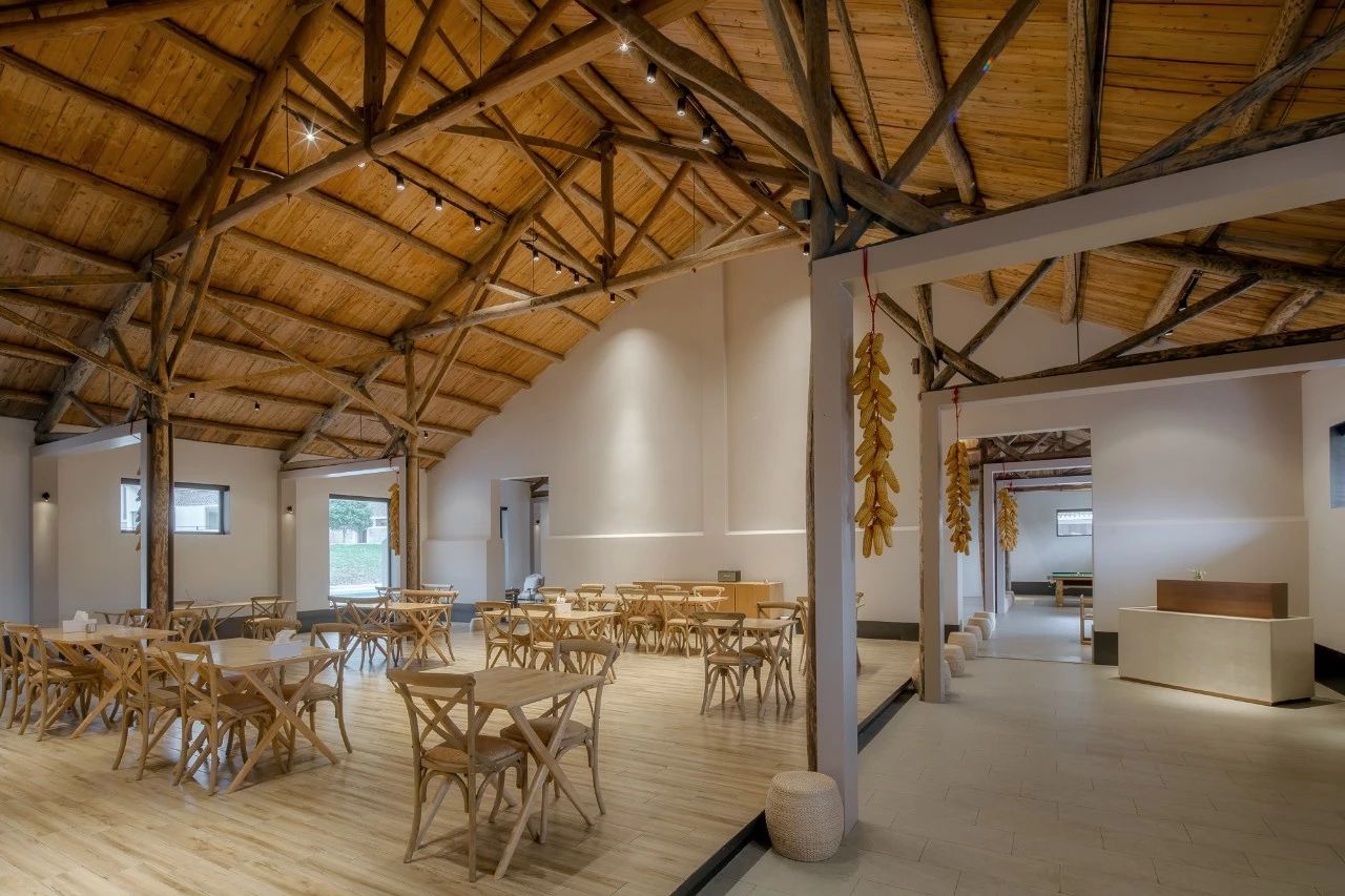 九熹·大樂(lè)之野，流水的大樂(lè)之野鐵打的小白墻