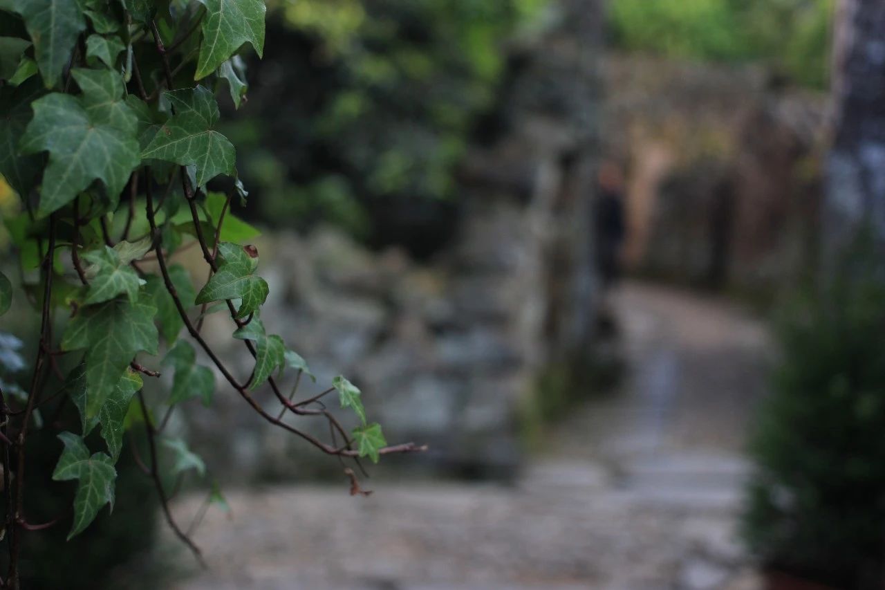 九熹·大樂之野，流水的大樂之野鐵打的小白墻