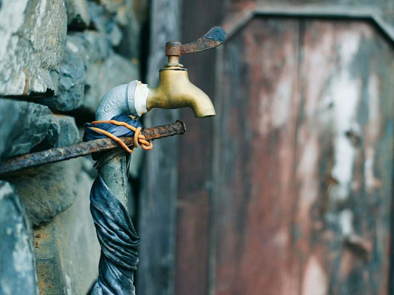 九熹·大樂之野，流水的大樂之野鐵打的小白墻