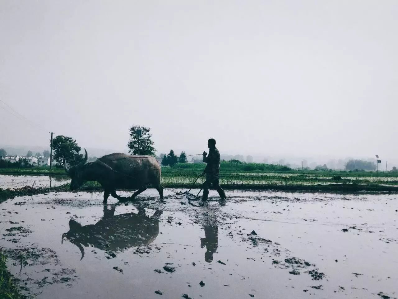黃山·東田別野，日出而作日落而息的時(shí)光野