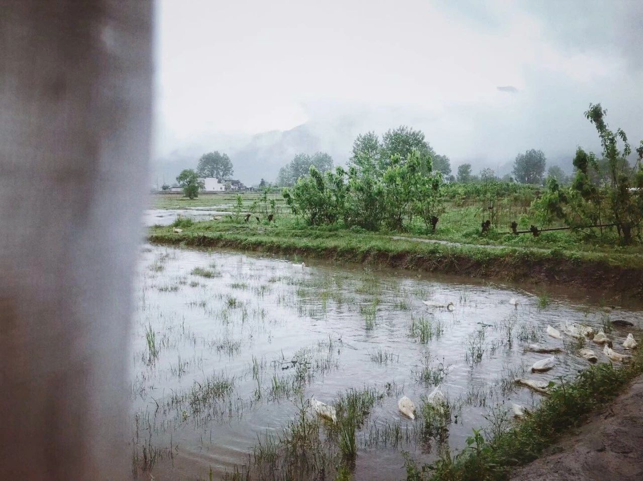 黃山·東田別野，日出而作日落而息的時光野