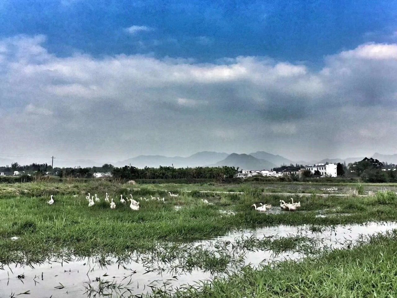 黃山·東田別野，日出而作日落而息的時(shí)光野