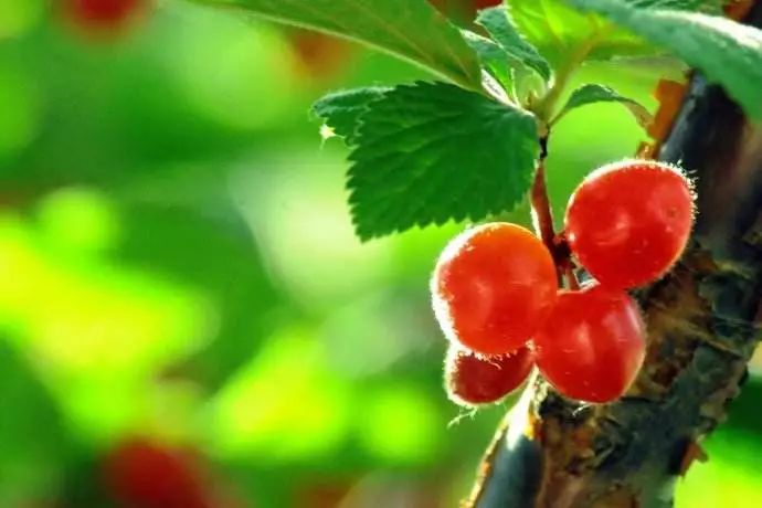 小滿節(jié)氣，人生小滿