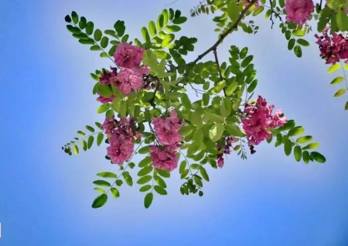 小滿節(jié)氣，人生小滿