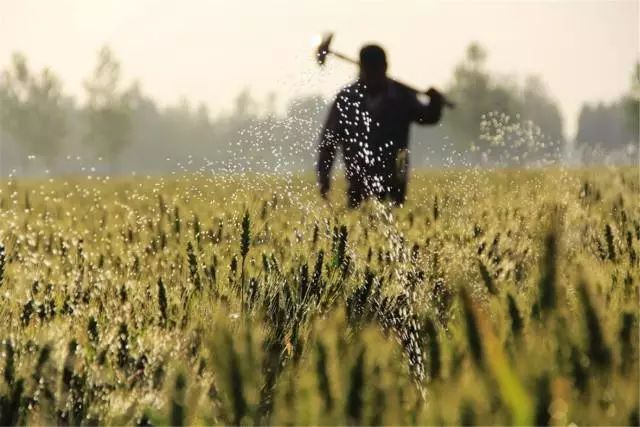 小滿節(jié)氣，人生小滿